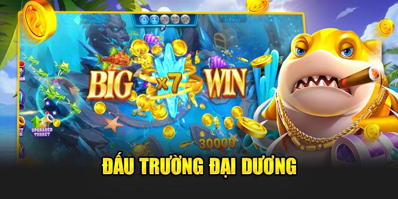 Đấu trường đại dương