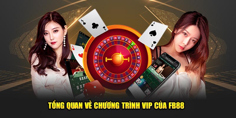 Tổng quan về chương trình VIP của FB88  